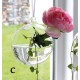 Hängevase rund aus Glas klar