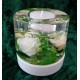 Virgin Colum Classic Teelichthalter