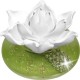Duftrose White Lotus green La Flora Duftlampe