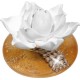 Duftrose White Lotus Sun La Flora Duftlampe