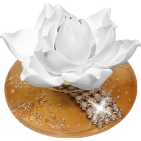 Duftrose White Lotus Sun La Flora Duftlampe