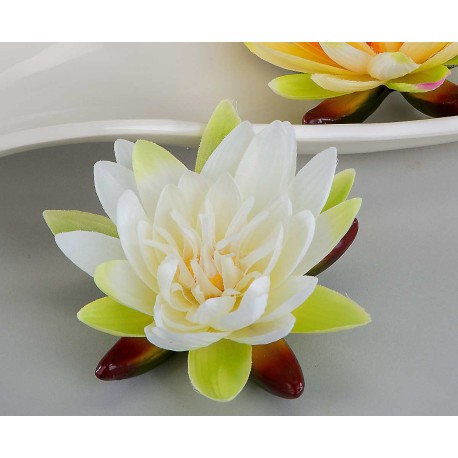 Seerose 16 cm schwimmend