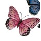 Wanddeko Schmetterling 21x31 cm