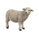 Schaf aus Resin 43 cm
